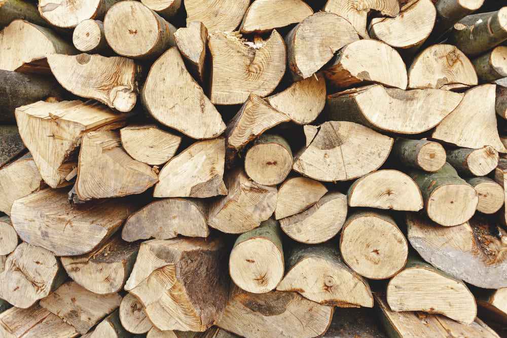 Tout savoir sur les Types de Bois de Chauffage — free download